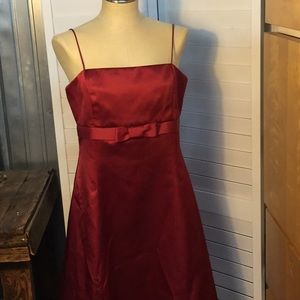 David’s Bridal cocktail dress.